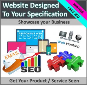 website, domain name, hosting, SEO, design and promote